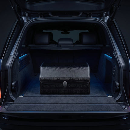 Collection image for: Trunk Organizers